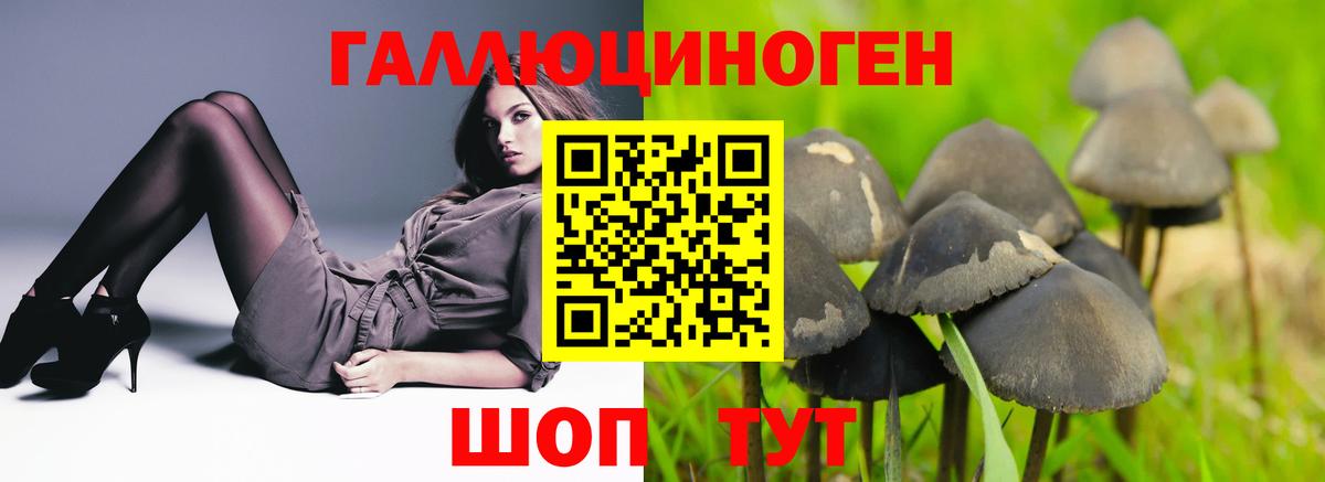 Галлюциногенные грибы Magic Shrooms Советск